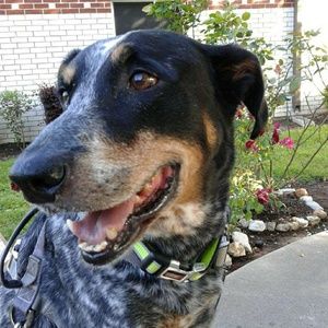 Meet your Posher, Tasha